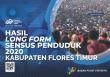 Results of the 2020 Population Census Long Form Flores Timur Regency