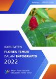 Kabupaten Flores Timur Dalam Infografis 2022